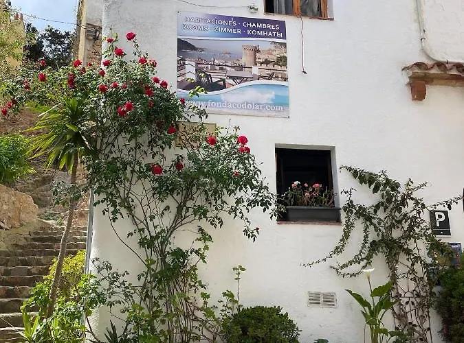 P&r Hostals Codolar 3*