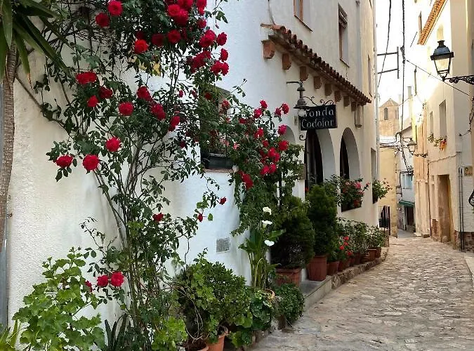 Guest house P&r Hostals Codolar 3*